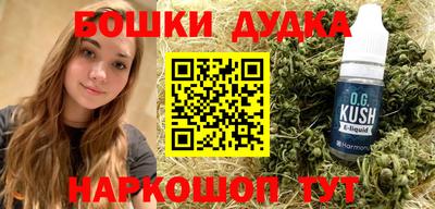 индика Пенза