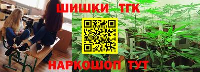 индика Пенза